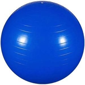 Bola Ginástica 65cm Professional Fisioball FG20 - unidade